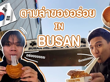 The mission to hunt for delicious food
in Busan