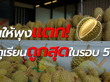 Durian is the cheapest in 5 years. Eat
until your stomach bursts. The reason
is...