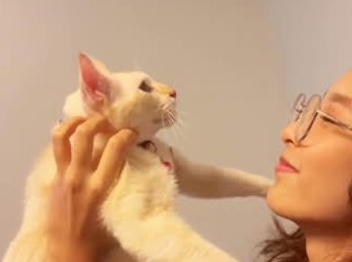 This is a music video (MV) for the song
